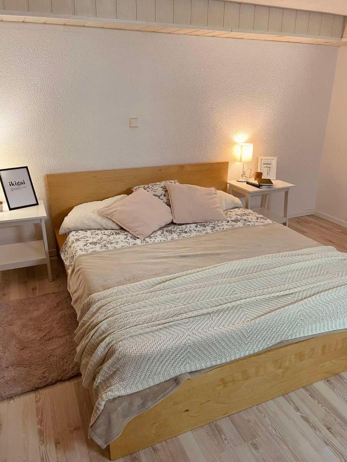 Apartma Pri Olgi 布莱德 外观 照片